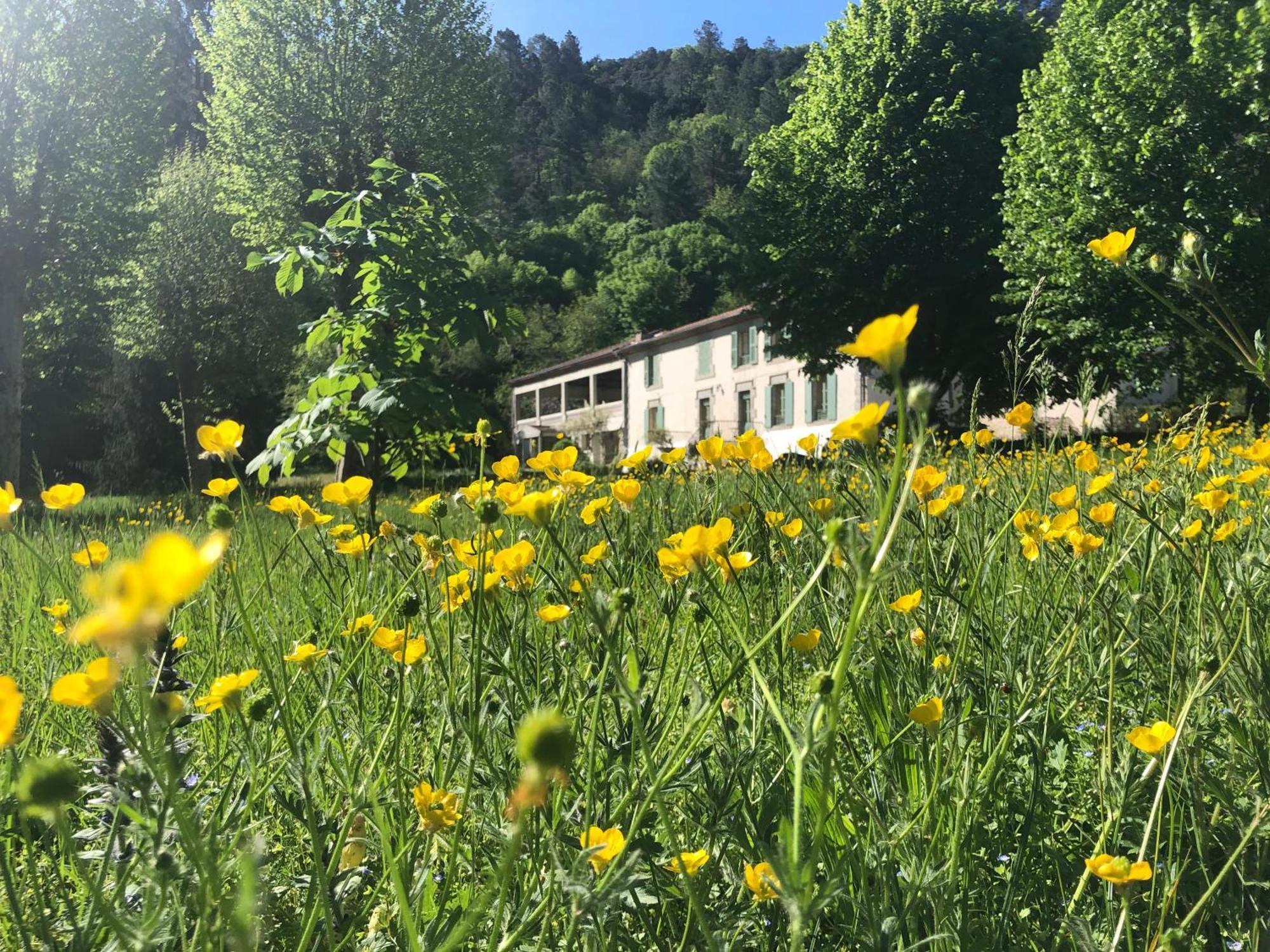 Chateau Du Fraissinet, 6 Gites Sleeping 2-8 Guests, Pool And River On Site La Tronche  Exterior photo