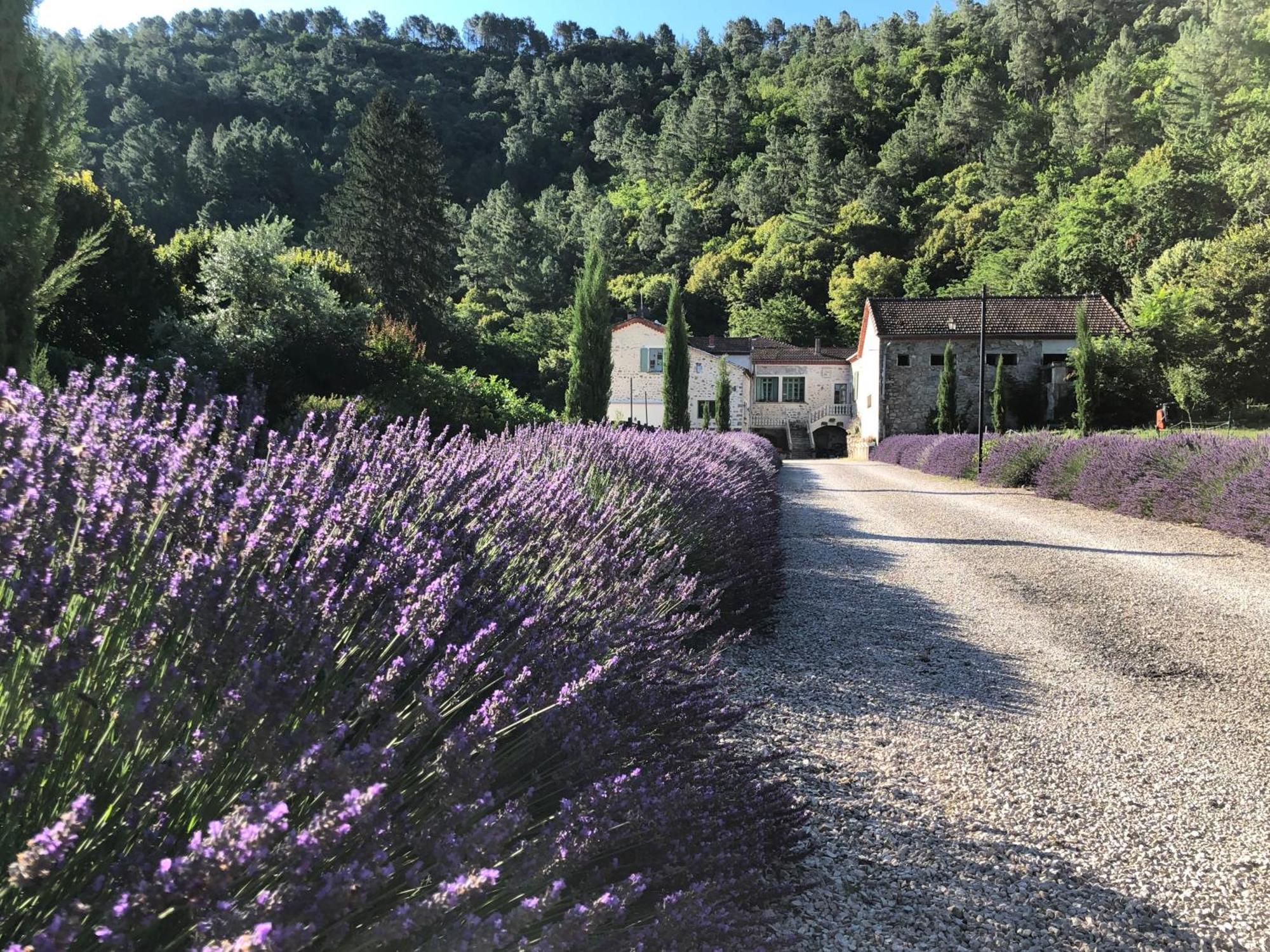 Chateau Du Fraissinet, 6 Gites Sleeping 2-8 Guests, Pool And River On Site La Tronche  Exterior photo